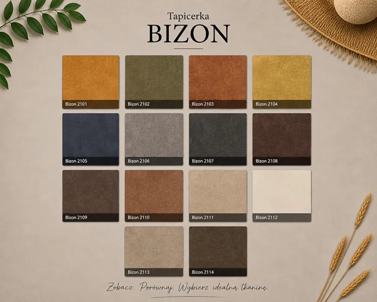 Bizon 1.jpg