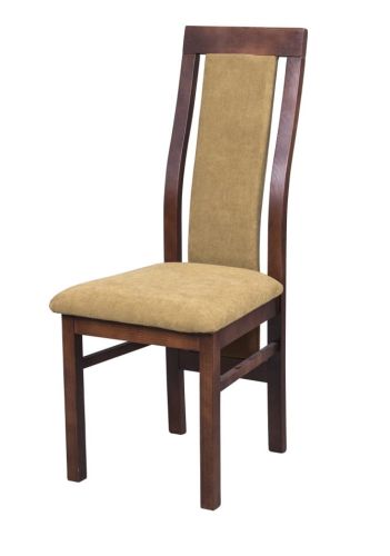 Wybarwienie: Kasztan Tapicerka: Aston-2